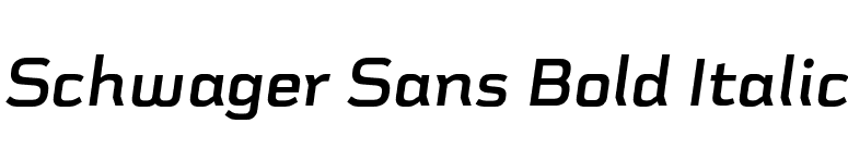 Schwager Sans Bold Italic font preview