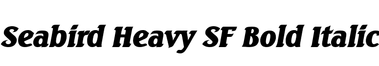 Seabird Heavy SF Bold Italic font preview