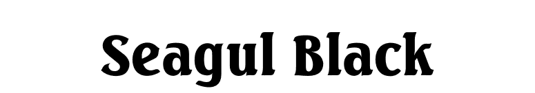 Seagul Black font preview