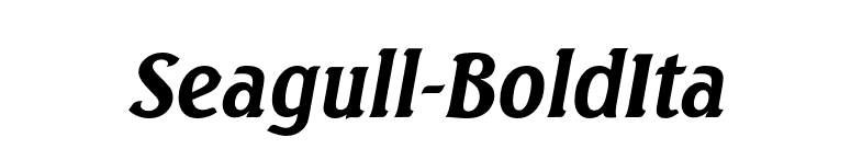 Seagull-BoldIta font preview