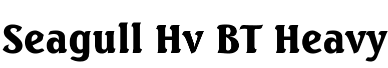 Seagull Hv BT Heavy font preview