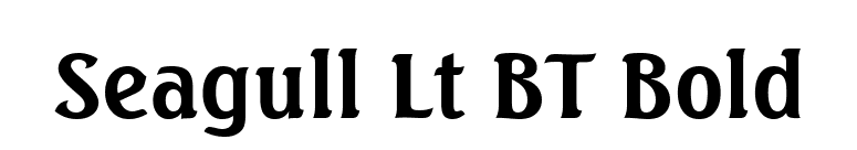 Seagull Lt BT Bold font preview