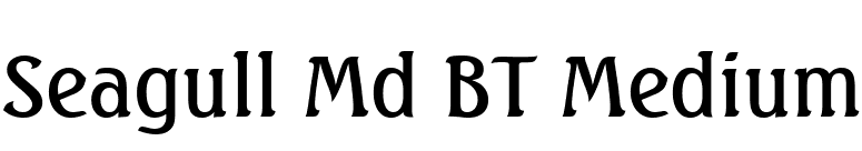 Seagull Md BT Medium font preview