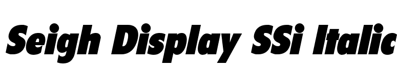 Seigh Display SSi Italic font preview