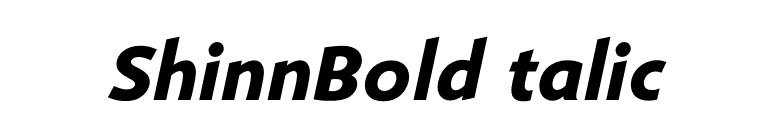 ShinnBoldItalic font preview