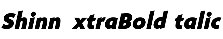 ShinnExtraBoldItalic font preview