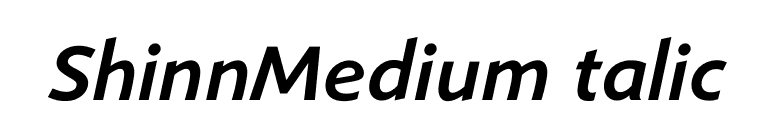 ShinnMediumItalic font preview
