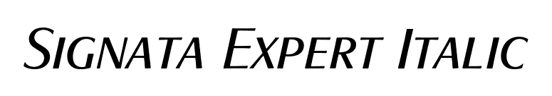 Signata Expert Italic font preview