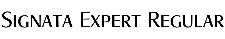 Signata Expert Regular font preview