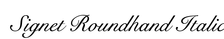 Signet Roundhand Italic font preview