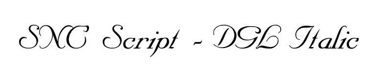 SNC Script - DGL Italic font preview
