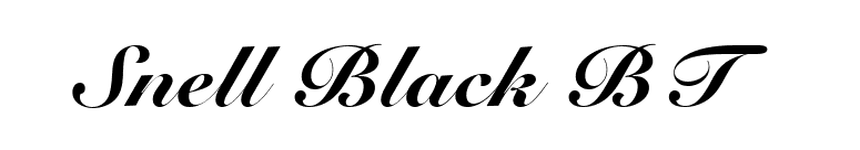 Snell Black BT font preview