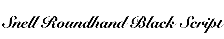 Snell Roundhand Black Script font preview