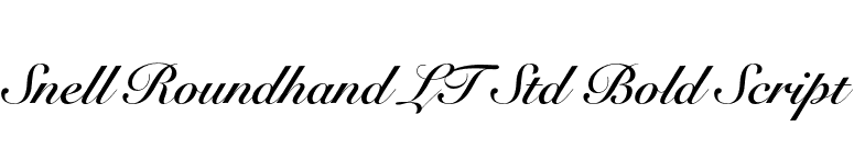 Snell Roundhand LT Std Bold Script font preview