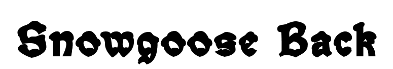 Snowgoose Back font preview