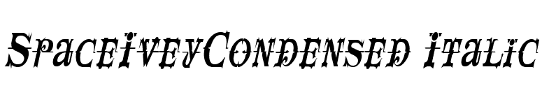 SpaceIveyCondensed Italic font preview