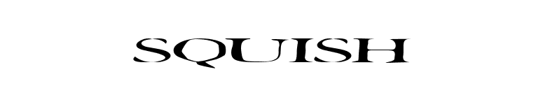 Squish font preview