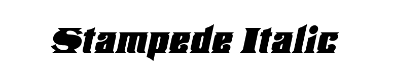 Stampede Italic font preview