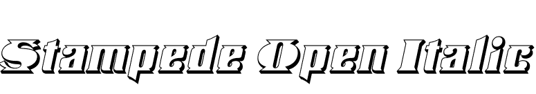 Stampede Open Italic font preview