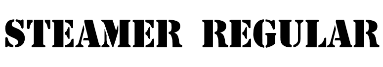 Steamer Regular font preview