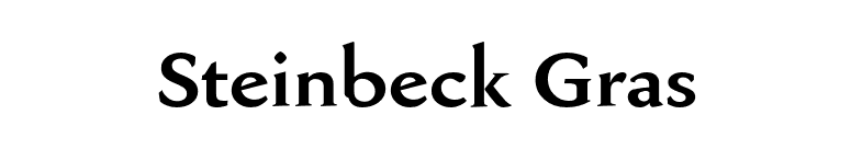 Steinbeck Gras font preview