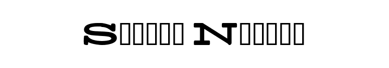 Stereo Normal font preview