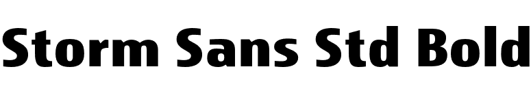 Storm Sans Std Bold font preview