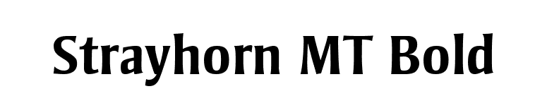 Strayhorn MT Bold font preview