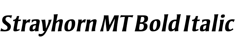 Strayhorn MT Bold Italic font preview