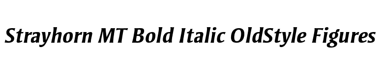 Strayhorn MT Bold Italic OldStyle Figures font preview