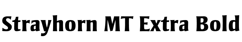 Strayhorn MT Extra Bold font preview