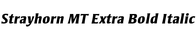Strayhorn MT Extra Bold Italic font preview