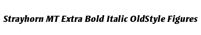 Strayhorn MT Extra Bold Italic OldStyle Figures font preview