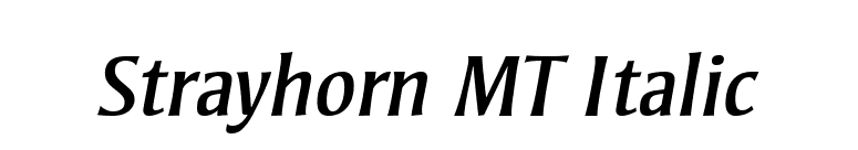 Strayhorn MT Italic font preview