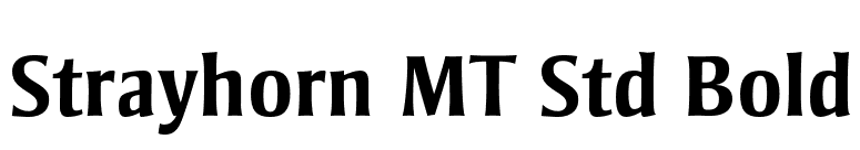 Strayhorn MT Std Bold font preview