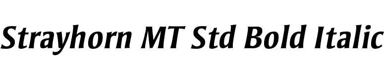 Strayhorn MT Std Bold Italic font preview