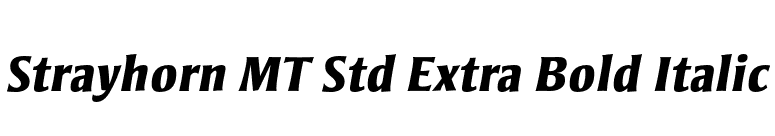 Strayhorn MT Std Extra Bold Italic font preview