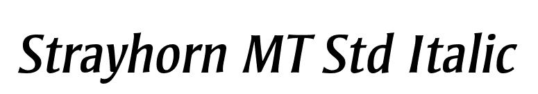Strayhorn MT Std Italic font preview