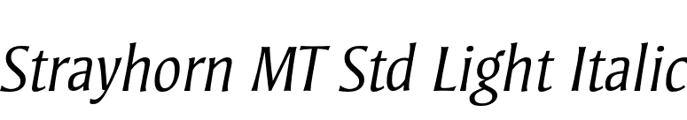 Strayhorn MT Std Light Italic font preview