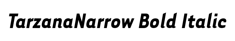 TarzanaNarrow Bold Italic font preview