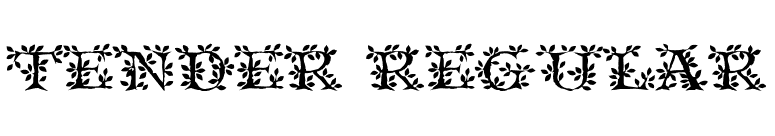 Tender Regular font preview