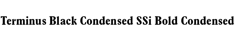 Terminus Black Condensed SSi Bold Condensed font preview