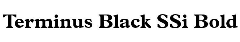 Terminus Black SSi Bold font preview