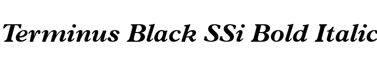 Terminus Black SSi Bold Italic font preview