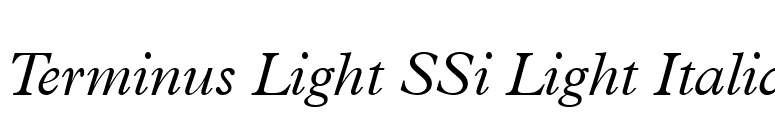 Terminus Light SSi Light Italic font preview