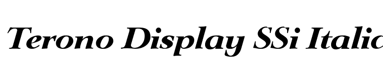 Terono Display SSi Italic font preview