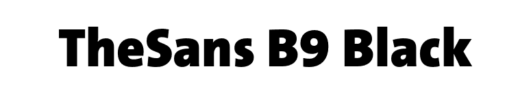 TheSans B9 Black font preview