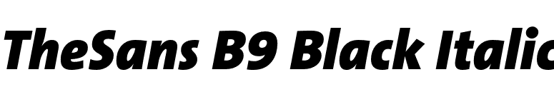 TheSans B9 Black Italic font preview