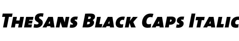 TheSans Black Caps Italic font preview