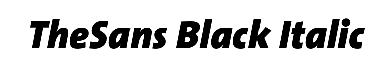 TheSans Black Italic font preview